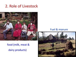 Animal genetic resources characterization and conservation research in Africa: An overview 