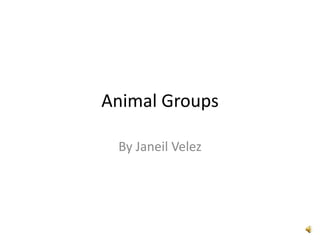 Animal Groups

 By Janeil Velez
 