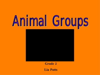 Grade 2 Lia Potts Animal Groups 