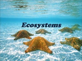 Ecosystems
 