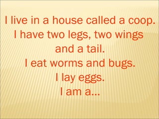 questions for guessing game