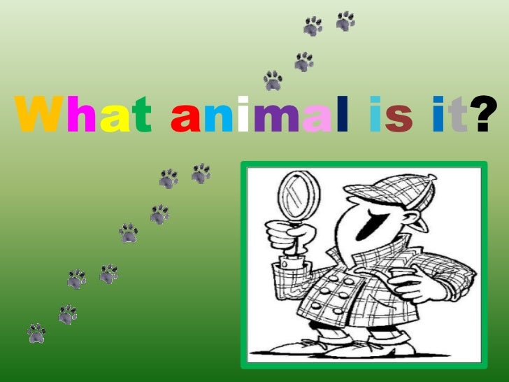 Animal guessing game