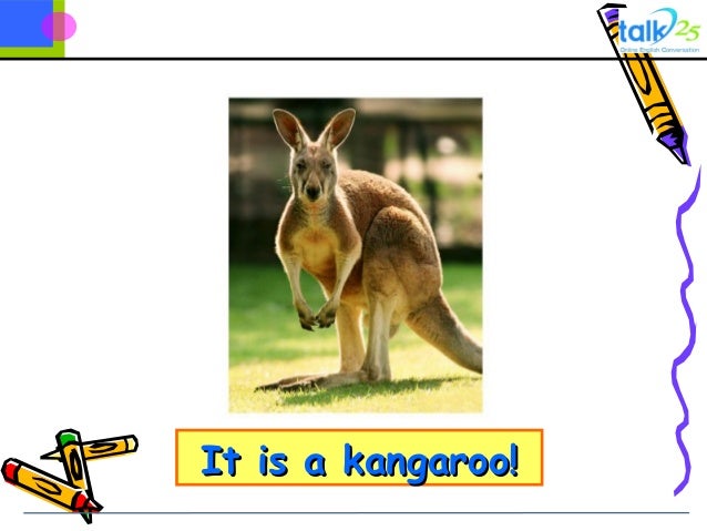 Animal guessing game