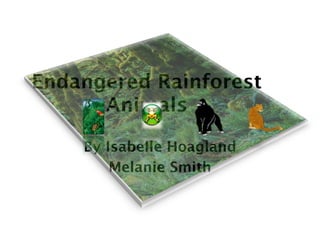 Endangered Rainforest
      Animals

    By Isabelle Hoagland
        Melanie Smith
 