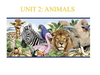 UNIT 2: ANIMALS 
 