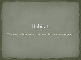 The natural home or environment for an animal or plant.
 