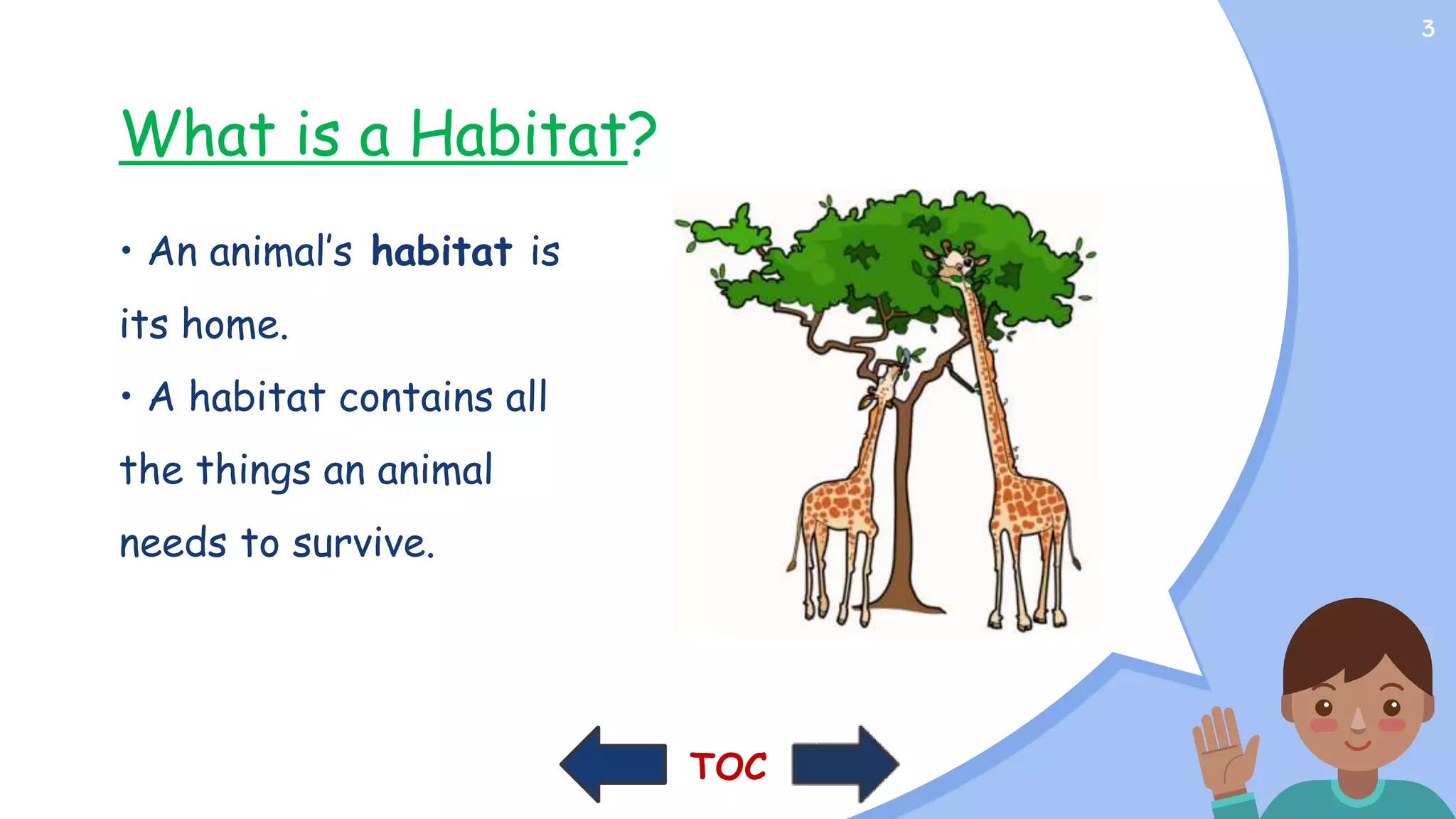 Animal Habitats.pptx