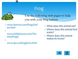 Animal habitats Web Activity | PPTX