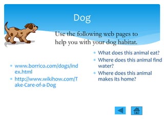 Dog
 www.borrico.com/dogs/ind
ex.html
 http://www.wikihow.com/T
ake-Care-of-a-Dog
 What does this animal eat?
 Where does this animal find
water?
 Where does this animal
makes its home?
Use the following web pages to
help you with your dog habitat.
 