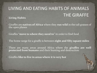  Living Habits

 Giraffes are natives of Africa where they run wild in the tall grasses of
the open planes
 Giraffes “move to where they need to” in order to find food
 The home range for a giraffe is between eight and fifty square miles
 There are many areas around Africa where the giraffes are well
protected from humans and their hunting and destruction
 Giraffes like to live in areas where it is very hot
LIVING AND EATING HABITS OF ANIMALS
THE GIRAFFE
 