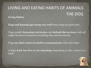  Living Habits
 Dogs and humans get along very well hence dogs are good pets
 Dogs usually formulate territories and defend the territory with all
might because it contains everything they need to survive
 Dogs use their sense of smell to communicate with each other
 A dog’s bark has five to six meanings depending in the context it is
used
LIVING AND EATING HABITS OF ANIMALS
THE DOG
 