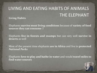  Living Habits
 Elephants survive most living conditions because of variety of food
sources they can consume !!
 Elephants live in forests and swamps but can very well survive in
deserts as well
 Most of the present time elephants are in Africa and live in protected
National Parks
 Elephants love to play and bathe in water and would travel miles to
find water sources
LIVING AND EATING HABITS OF ANIMALS
THE ELEPHANT
 