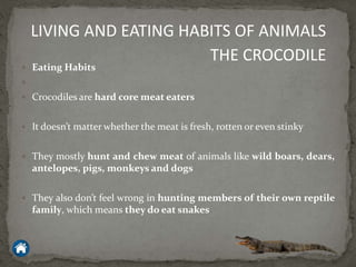  Eating Habits

 Crocodiles are hard core meat eaters
 It doesn’t matter whether the meat is fresh, rotten or even stinky
 They mostly hunt and chew meat of animals like wild boars, dears,
antelopes, pigs, monkeys and dogs
 They also don’t feel wrong in hunting members of their own reptile
family, which means they do eat snakes
LIVING AND EATING HABITS OF ANIMALS
THE CROCODILE
 