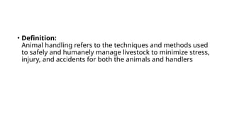 Animal Handling.pptx ddfgh ghyjjrt ftrfhjnf | PPTX
