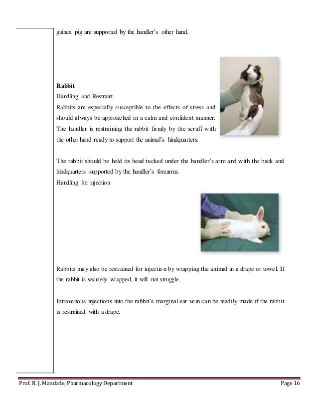 Animal handling 03