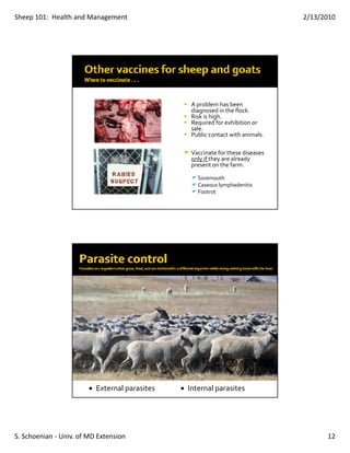 Sheep 101:  Health and Management                                               2/13/2010




                                                A problem has been 
                                                  p
                                                diagnosed in the flock.
                                                Risk is high.
                                                Required for exhibition or 
                                                sale.
                                                Public contact with animals.

                                                Vaccinate for these diseases 
                                                only if they are already 
                                                present on the farm.

                                                  Soremouth
                                                  Caseous lymphadenitis
                                                  Footrot




                          External parasites   Internal parasites




S. Schoenian ‐ Univ. of MD Extension                                                  12
 