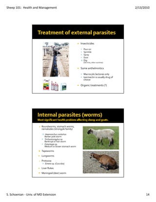 Sheep 101:  Health and Management                                                            2/13/2010




                                                          Insecticides
                                                            Pour‐on
                                                            Sprinkle
                                                            Spray
                                                            Dust
                                                            Dip 
                                                            (old‐time, other countries)


                                                          Some anthelmintics

                                                            Macrocylic lactones only
                                                            Ivermectin is usually drug of 
                                                            choice

                                                          Organic treatments (?)




                         Roundworms, stomach worms, 
                         nematodes (strongyle family)

                           Haemonchus contortus
                           Barber pole worm
                           Trichostrongylus sp.
                           Bankrupt or hair worm
                           Ostertagia sp.
                           Medium or brown stomach worm

                         Tapeworms
                         Lungworms
                         Protozoa
                            Eimera sp. (Coccidia)

                         Liver flukes
                         Meningeal (deer) worm




S. Schoenian ‐ Univ. of MD Extension                                                               14
 