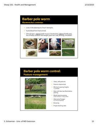 Sheep 101:  Health and Management                                                                      2/13/2010




                         Lives in the abomasum (“true” stomach).
                         Sucks blood from host animal.
                         Clinical signs:  anemia (pale mucous membranes), edema (bottle jaw), 
                         loss of body condition and weight, poor hair coat, lethargy, and death.




                                                                   Clean, safe pastures
                                                                   Pasture rotation/rest
                                                                   Minimum grazing heights 
                                                                   > 3 inches
                                                                   Wait until dew has lifted before 
                                                                   grazing
                                                                   Mixed‐species grazing
                                                                   small ruminants 
                                                                      ll    i   t     cows, horses
                                                                                            h

                                                                   Alternative forages
                                                                   e.g. Sericea lespedeza

                                                                   Browsing
                                                                   Proper stocking rates




S. Schoenian ‐ Univ. of MD Extension                                                                         15
 