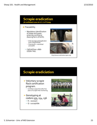 Sheep 101:  Health and Management                                                                  2/13/2010




                        Traceability

                          Mandatory identification 
                          of sheep and goats 
                          entering commerce 
                          (leaving farm of birth).

                          ▪ Free ear tags and applicator 
                            from USDA APHIS.
                          ▪ Premise ID + individual 
                            animal ID

                          Call toll free 1‐866‐
                          USDA‐TAG.

                                                                http://www.eradicatescrapie.org/




                         Voluntary scrapie 
                         flock certification 
                         program.
                           Certified scrapie‐free after five 
                           years of scrapie‐free monitoring.


                         Genotyping at 
                         codons 171, 154, 136
                           R – resistant 
                           Q ‐ susceptible




S. Schoenian ‐ Univ. of MD Extension                                                                     23
 