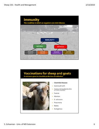 Sheep 101:  Health and Management                                                                       2/13/2010




                                                      IMMUNITY


                                        NATURAL                       ARTIFICIAL


                           PASSIVE          ACTIVE            PASSIVE                      ACTIVE
                           (Maternal)       (Infection)     (antibody transfer)        (immunization)




                                                               Clostridial diseases
                                                               Soremouth (orf)
                                                               Caseous lympadenitis (CL)
                                                               (int. and ext. abscesses)

                                                               Footrot
                                                               Abortion
                                                               E. coli scours
                                                               Pneumonia
                                                               Rabies
                                                               Autogenous




S. Schoenian ‐ Univ. of MD Extension                                                                           6
 