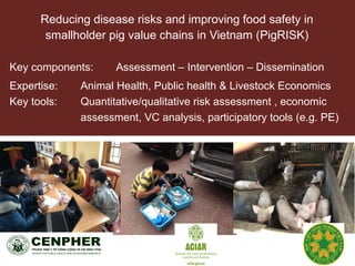 Animal health and food safety in smallholder pig value chains in Vietnam