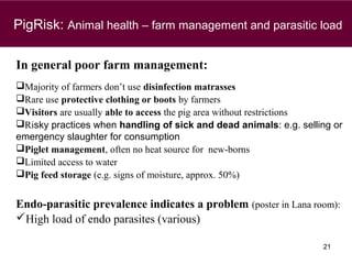 Animal health and food safety in smallholder pig value chains in Vietnam