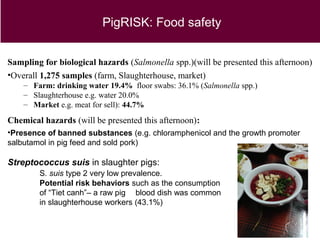 Animal health and food safety in smallholder pig value chains in Vietnam
