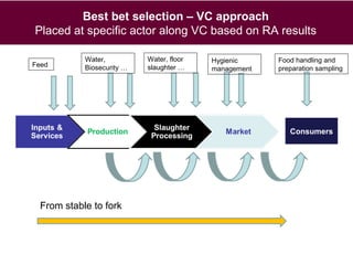Animal health and food safety in smallholder pig value chains in Vietnam