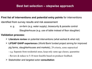 Animal health and food safety in smallholder pig value chains in Vietnam