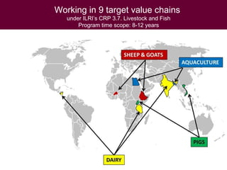 Animal health and food safety in smallholder pig value chains in Vietnam