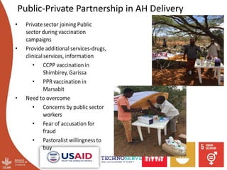 Challenges in delivery of animal health services
