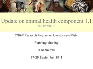 CRP 3.7
Update on animal health component 1.1
                     Phil Toye (ILRI)
   Component 1.1: Animal Health
     CGIAR Research Program on Livestock and Fish

                   Planning Meeting

                     ILRI Nairobi

                27-29 September 2011
 