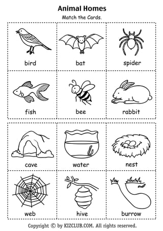 Animal Homes
               Match the Cards.




bird                  bat                  spider




fish                  bee                 rabbit




cave                water                   nest




web                   hive                burrow
 Copyright c by KIZCLUB.COM. All rights reserved.