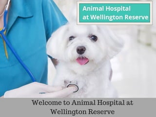 Welcome to Animal Hospital at
Wellington Reserve
 