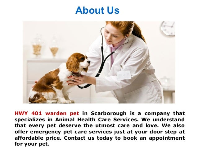 emergency animal hospital scarborough