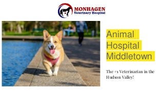 Animal
Hospital
Middletown
The #1 Veterinarian in the
Hudson Valley!
 