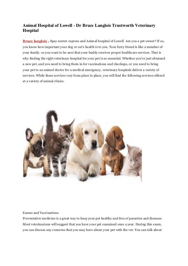 lowell veterinary clinic