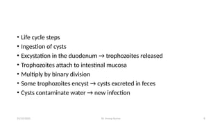 Animal house requirements and sops[1].pptx
