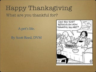 Happy Thanksgiving 
What are you thankful for? 
A pet’s life.! 
! 
By Scott Reed, DVM 
 