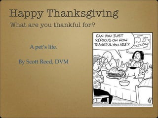 Happy Thanksgiving 
What are you thankful for? 
A pets life.! 
! 
By Scott Reed, DVM 
 