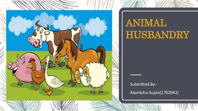Animal Husbandary