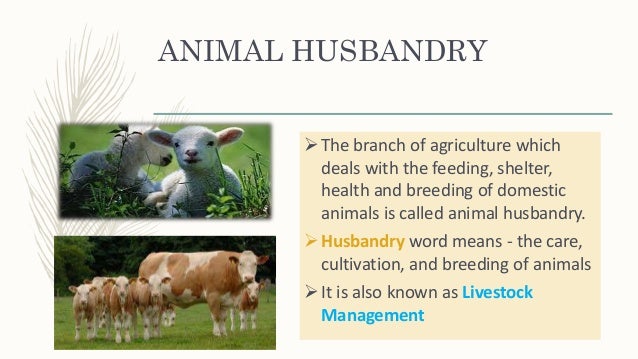 Animal Husbandary