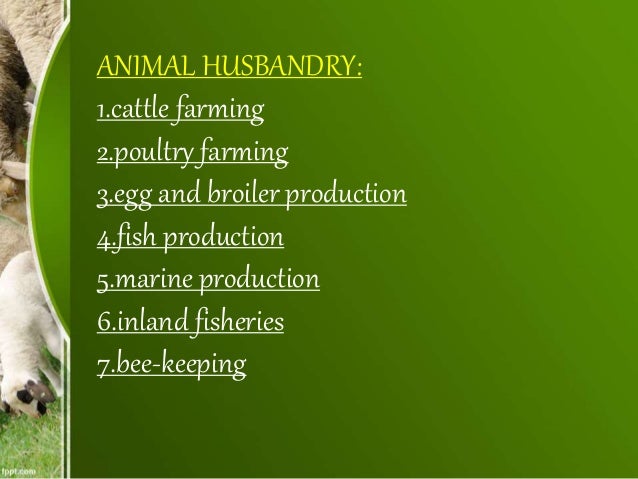 Animal Husbandry
