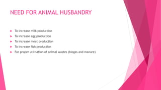 Animal husbandry 