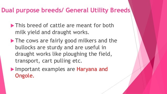 animal husbandry