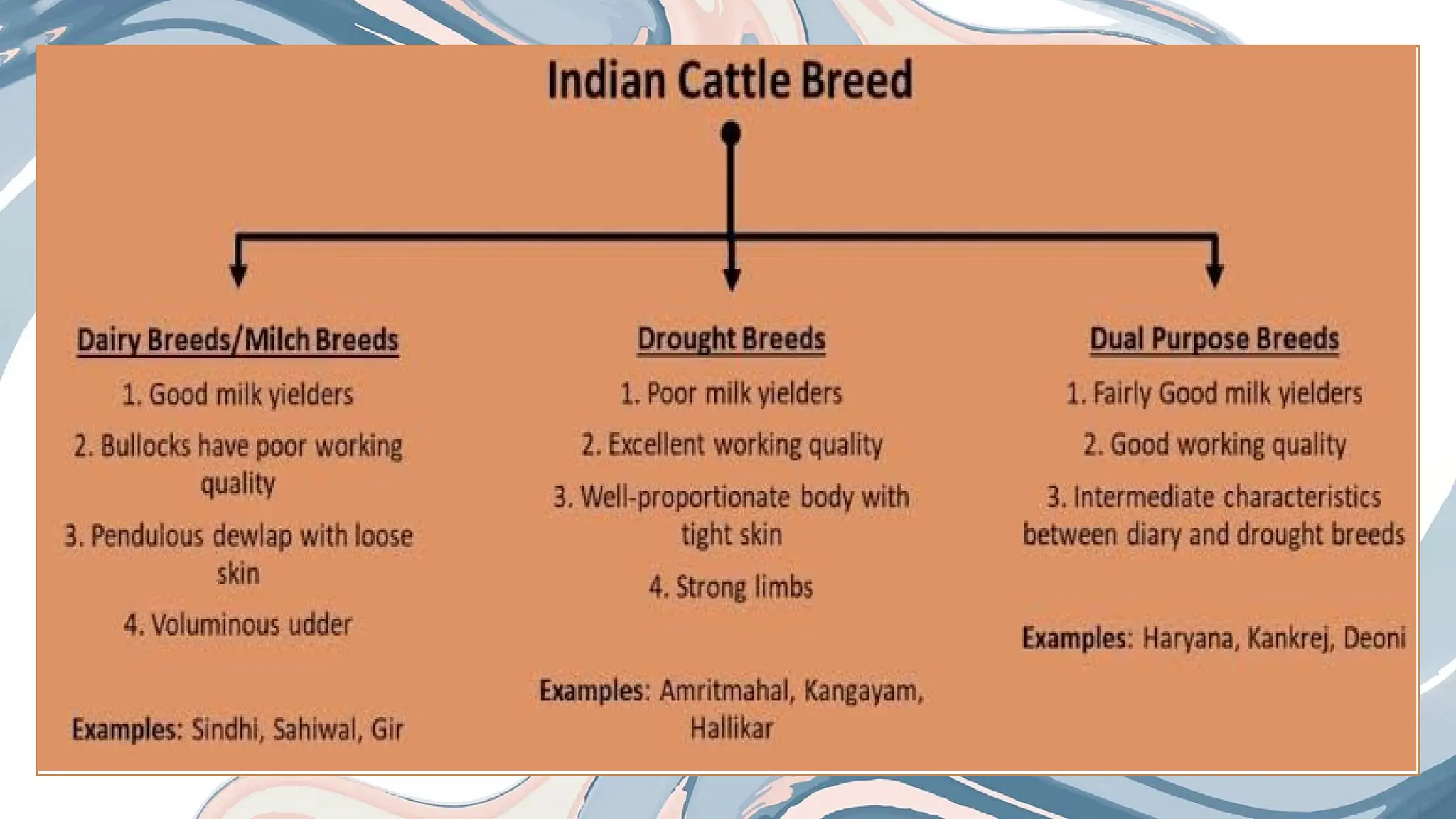 Animal husbandry: Purpose, scope and management,dairy animals, breeds ...