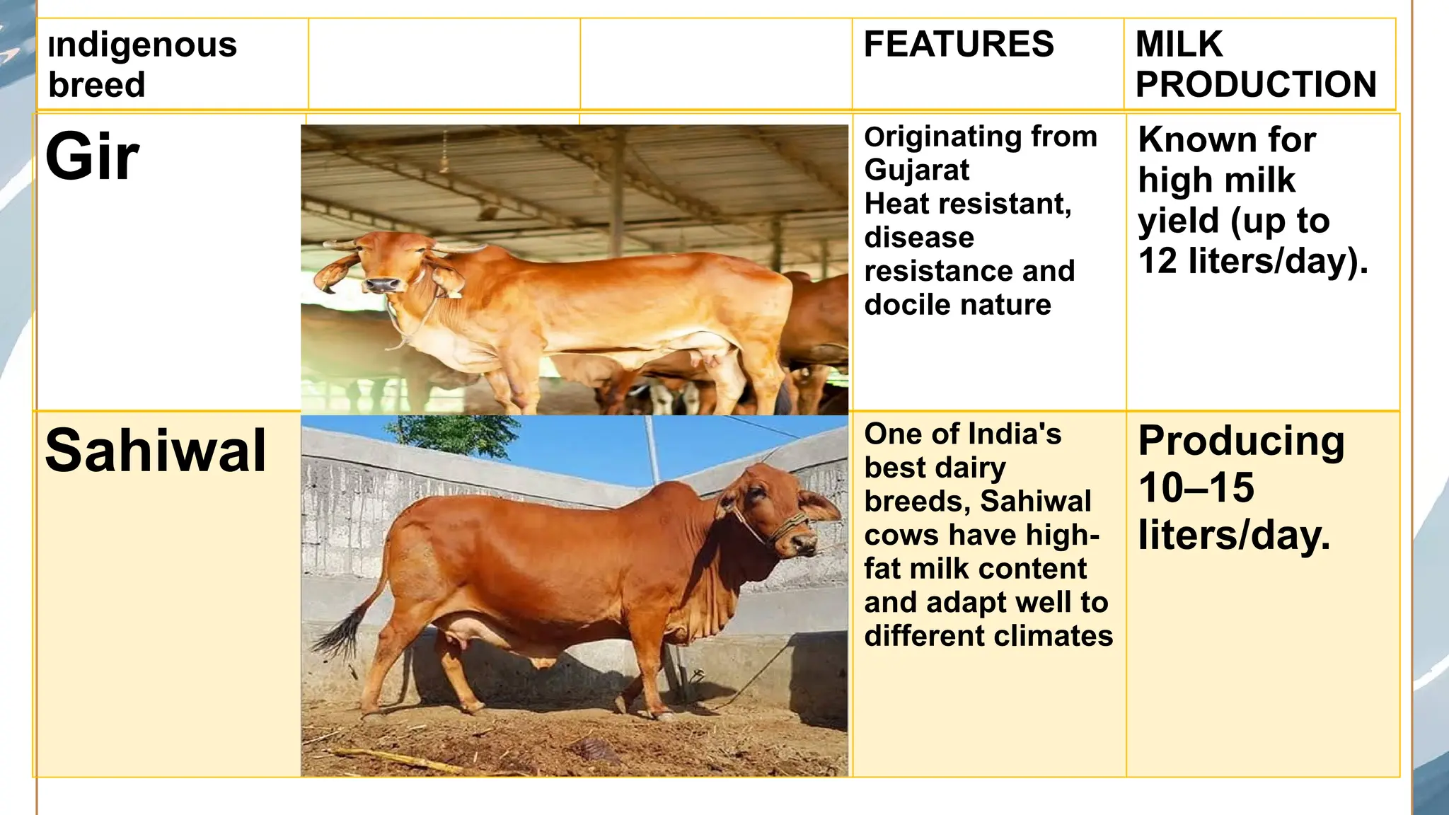 Animal husbandry: Purpose, scope and management,dairy animals, breeds ...