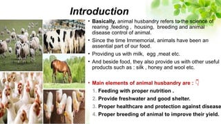 Animal husbandry : Introduction,breeds and induced breeding | PPTX