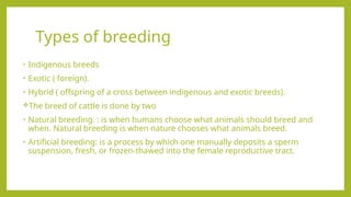 Animal Husbandry- Food Production and science | PPTX