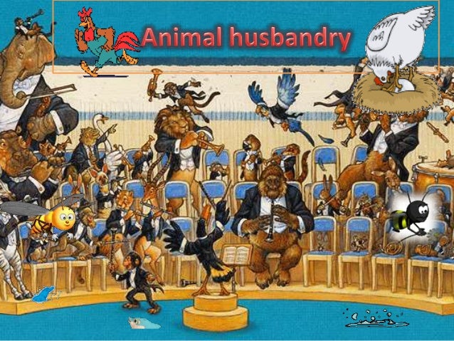 Animal husbandry